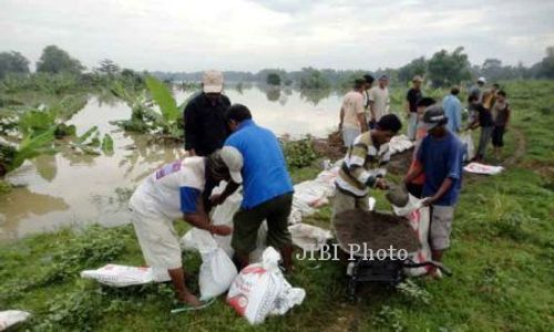 BANJIR BENGAWAN SOLO : Luapan Bengawan Solo Tak Picu Puso