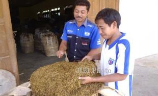 PERTANIAN JATENG : Petani Tembakau di Temanggung Minta Permendag Segera Diterapkan