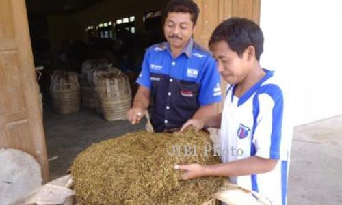 PETANI TEMBAKAU : APTI Tuntut Pemerintah Terapkan Disparitas Cukai Rokok