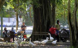 FOTO BALEKAMBANG  : Menikmati Liburan