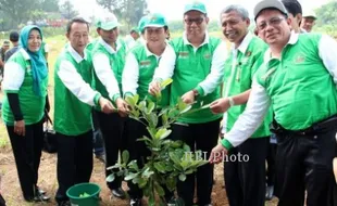 PENGELOLA TOL BSD TANAM POHON