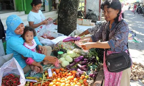 PUSAT PENJUALAN DAUN MLINJO DAN SIRIH