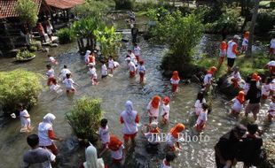 Gila! Objek Wisata Tlatar Dilempari Kotoran Sapi