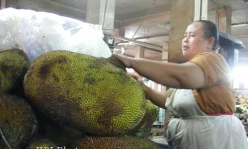 GUDEG JOGJA : Ternyata, Gori Pun Ada Kualitasnya