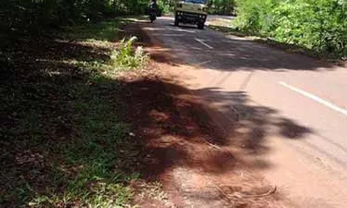 Banyak Tanah, Jalan Hutan Perjaten Berbahaya