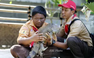 BERINTERAKSI DENGAN IGUANA