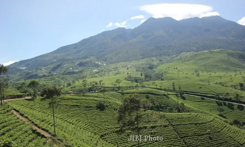 WISATA KARANGANYAR : Akan Ada Festival Payung dan Gemerlap 2.000 Balon Udara di Kemuning