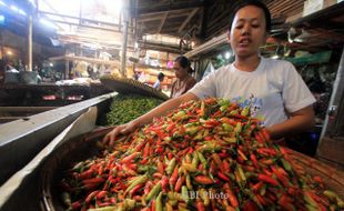 FOTO CABE RAWIT : Harga Cabe Rawit Merah Naik