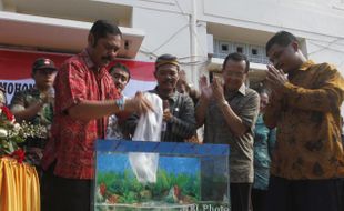 SOLO PERESMIAN PASAR IKAN DEPOK : Memasukkan Ikan