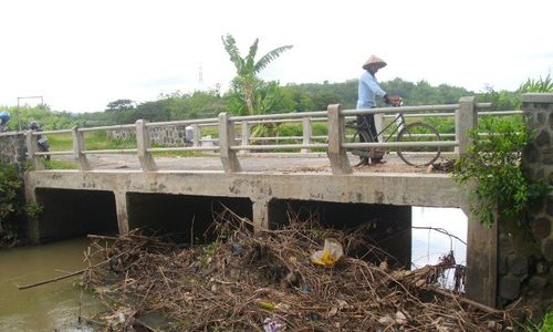  Musim Hujan, 80 Hektare Sawah di Lengking Sukoharjo Terancam Banjir