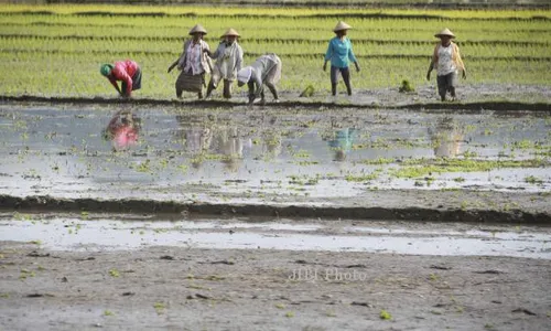 PERTANIAN SOLORAYA : Jarang Hujan, Petani Wonogiri Andalkan Pompa Air