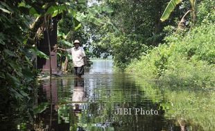 BANJIR KLATEN : Sungai Meluap, 25 Ha Sawah di Gantiwarno Terendam Banjir