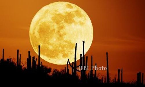 BERITA TERPOPULER : Lokasi Penampakan Pocong Boyolali Bekas Pembantaian PKI hingga Fenomena Supermoon