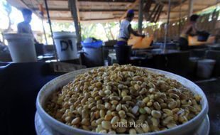 KONDISI EKONOMI : Dolar Naik, Pengrajin Tempe Pekalongan Siap Naikkan Harga