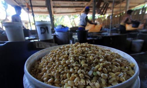 DAMPAK PELEMAHAN RUPIAH : Pengrajin Tempe di Kudus Terpukul Pelemahan Rupiah