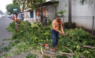 Warga Diminta Bersihkan Sisa Abu Kelud dan Pangkas Pohon Rimbun