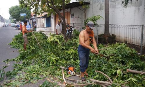 Warga Diminta Bersihkan Sisa Abu Kelud dan Pangkas Pohon Rimbun