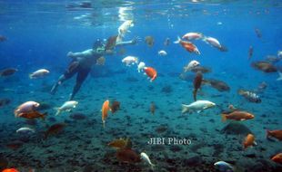 WISATA KLATEN : Sensasi Berenang Bersama Ikan di Umbul Ponggok