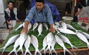 PERIKANAN DEMAK : Pengusaha Olahan Bandeng Kesulitan Bahan Baku