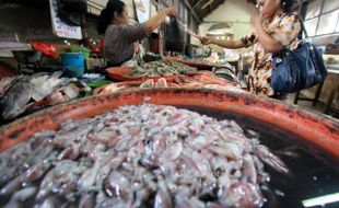 FOTO PEDAGANG IKAN : Harga Ikan Laut Naik