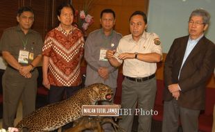 FOTO KONFERENSI MACAN TUTUL JAWA : Konferensi Nasional Macan Tutul Jawa