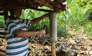 Mbah Kasinun, Petani Gunungkidul yang Punya Cara Hadapi Monyet Ekor Panjang