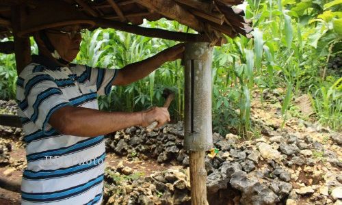 Mbah Kasinun, Petani Gunungkidul yang Punya Cara Hadapi Monyet Ekor Panjang