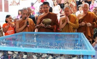 FOTO TAHUN BARU IMLEK :  Fang Sheng Digelar di Wihara Buddha Loka