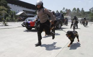 FOTO PEMILU 2014 : Membawa Anjing Pelacak 