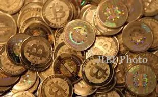 Harga Bitcoin Anjlok Lagi, Apakah Masih Layak Dibeli?