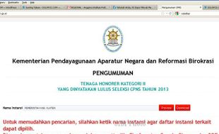 PENGUMUMAN CPNS 2013 : CPNS K2 Diumumkan, Tak Ada Lagi Tenaga Honorer