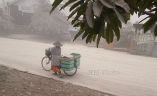 Daun Terlalu Berat karena Abu, Banyak Tanaman di Gunungkidul Rusak