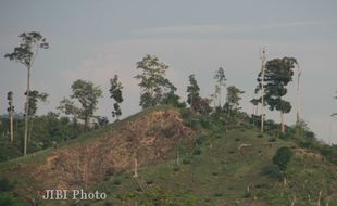 KERUSAKAN ALAM : Miris, 492.000 Hektare Lahan di Jateng Kritis