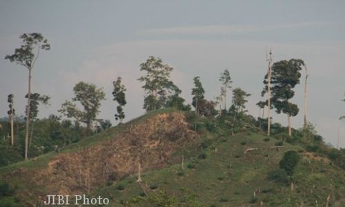 Masih Ada 13.673 Hektare Lahan Kritis di Gunungkidul