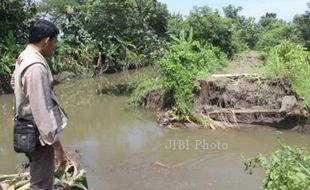 BANJIR KLATEN : Tanaman Padi 81 Hektare Puso, Petani Rugi Rp2 Miliar