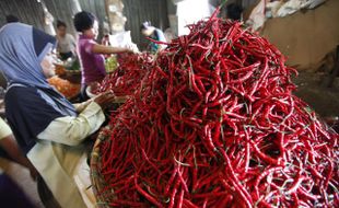 INFO BELANJA : Jelang Iduladha, Harga Sayur Naik Tipis