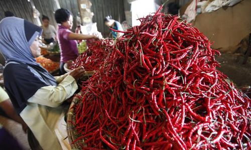 INFO BELANJA : Jelang Iduladha, Harga Sayur Naik Tipis