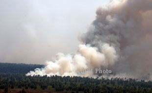 KEBAKARAN HUTAN RIAU : Marinir dan Kopassus Turut Buru Pembakar Hutan