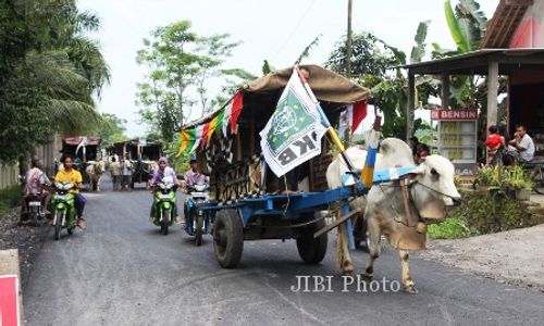 PEMILU 2014 : Caleg DPRD Klaten Ini Pilih Berkonvoi dengan 100 Gerobak Sapi