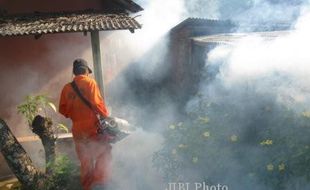 DEMAM BERDARAH WONOGIRI : DBD dan Chikungunya Merebak, Kaloran Difogging