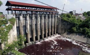 FOTO KALIPEPE : Berwarna Merah Keunguan 