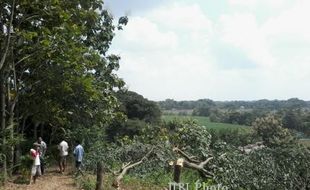 SABOTASE HUTAN KARET SRAGEN : 3 Kompi Brimob Masih Disiagakan