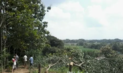 PERUSAKAN HUTAN KARET SRAGEN : JPU Tolak Eksepsi Sunarji Cs