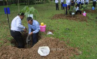 FOTO PENANAMAN POHON : Penghijauan dan Pelestarian Tanaman Langka