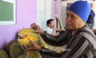 WISATA BUAH DI KLATEN : Waahh, Ada Rumah Durian di Karangnongko