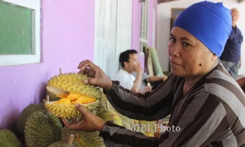 WISATA BUAH DI KLATEN : Waahh, Ada Rumah Durian di Karangnongko