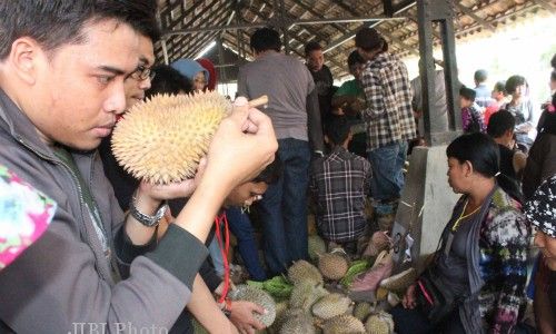 DURIAN KALIBAWANG : Musim Ini, Festival Durian Kulonprogo Ditiadakan