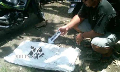 Polres Sleman Bongkar Kuburan Kucing Korban Penembakan