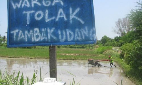 TAMBAK UDANG BANTUL : Tambak Udang akan Ditutup Paksa 31 Desember