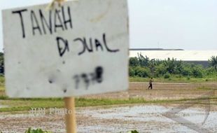 Harga Tanah di Kulonprogo Gila-Gilaan, Warga Lokal Sendiri yang Bakal Rugi